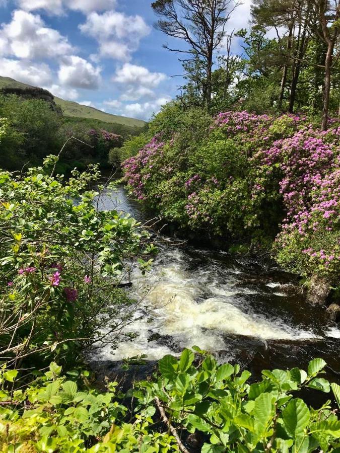 Red Deer Cosy Apartment In Letterfrack Connemara المظهر الخارجي الصورة