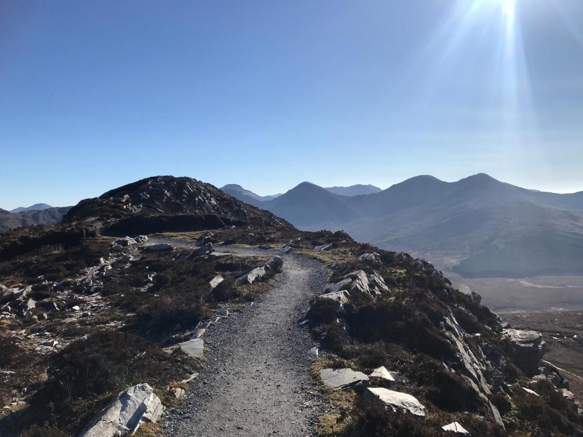 Red Deer Cosy Apartment In Letterfrack Connemara المظهر الخارجي الصورة
