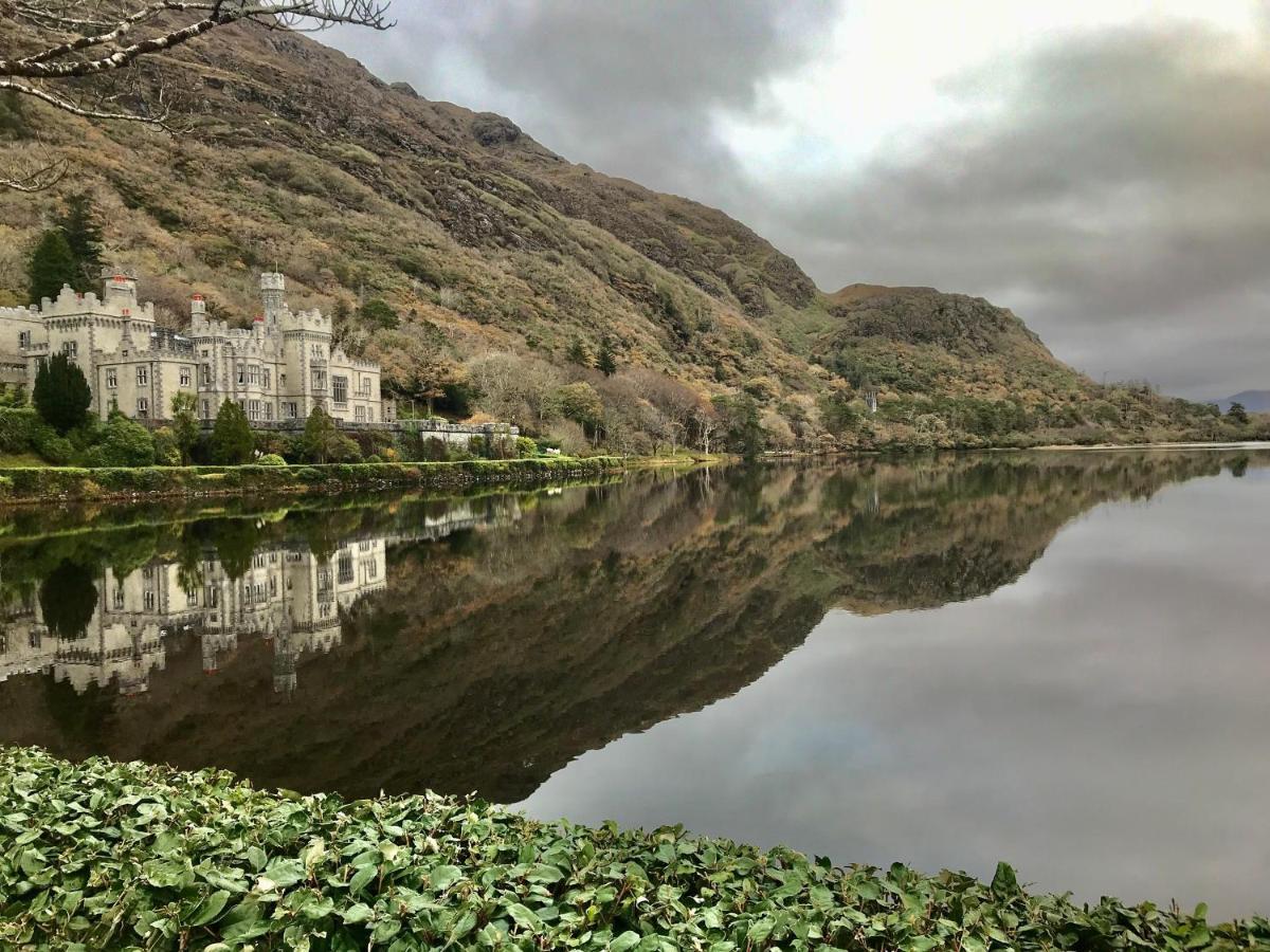 Red Deer Cosy Apartment In Letterfrack Connemara المظهر الخارجي الصورة